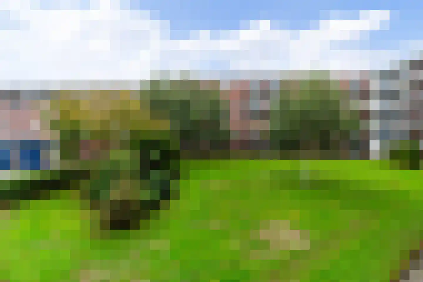 dr. Schaepmanstraat 6 A Vlaardingen thumbnail 33