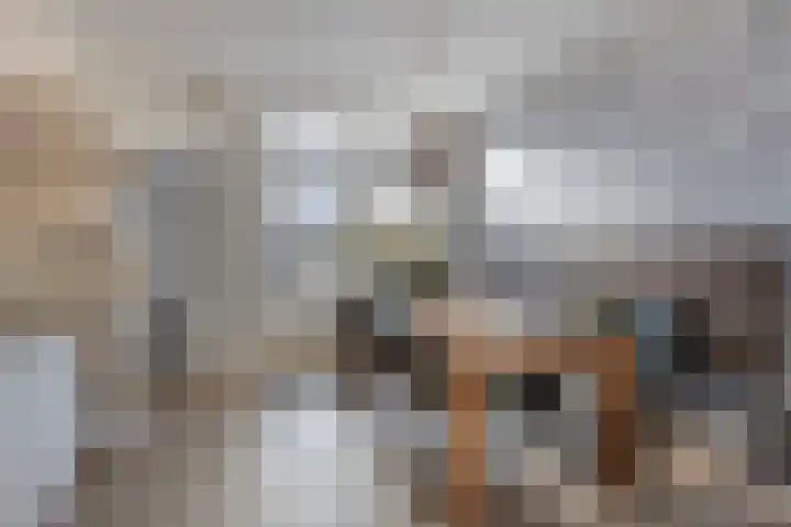 Dr. Schaepmanstraat 6 Goor thumbnail 11