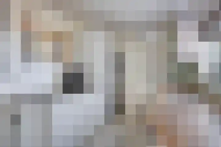 Dr. Schaepmanstraat 6 Goor thumbnail 13