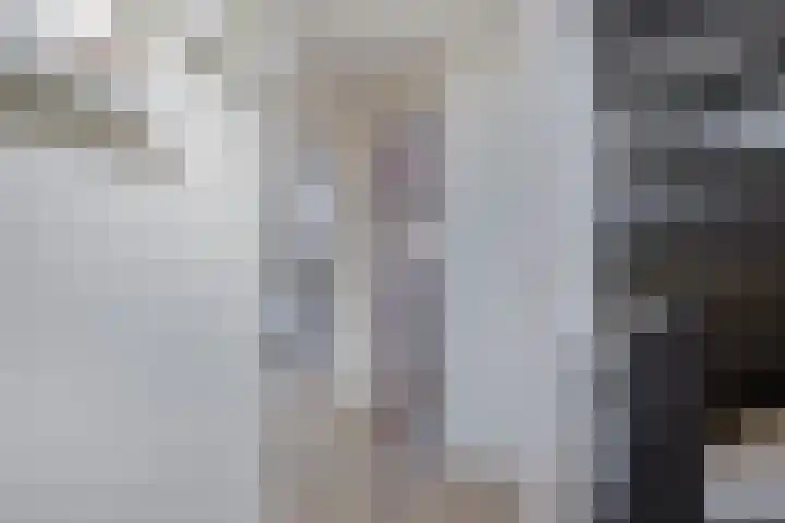 Dr. Schaepmanstraat 6 Goor thumbnail 18