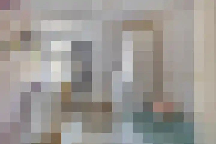 Dr. Schaepmanstraat 6 Goor thumbnail 21