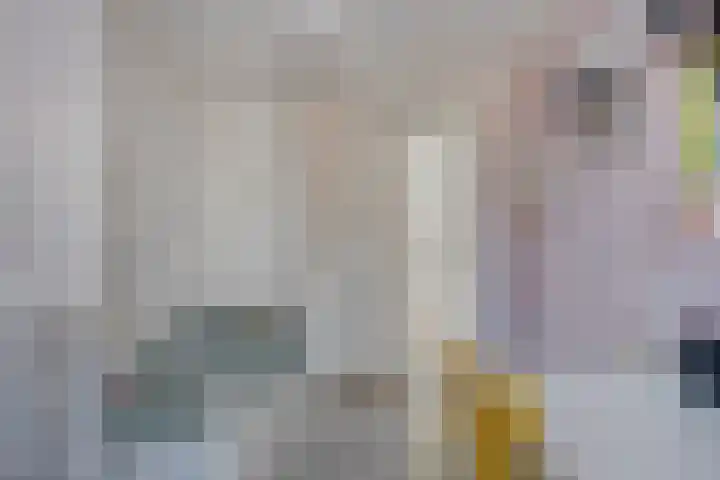 Dr. Schaepmanstraat 6 Goor thumbnail 22