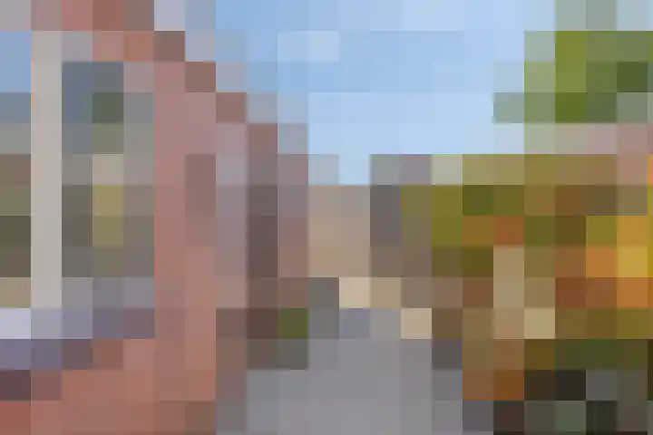 Dr. Schaepmanstraat 6 Goor thumbnail 25
