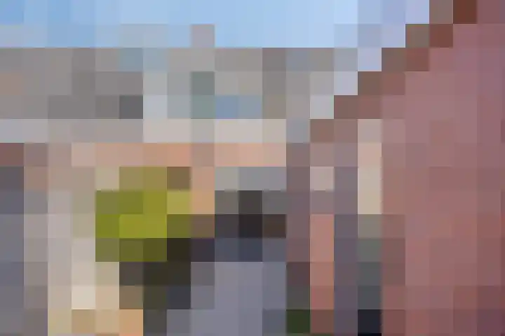 Dr. Schaepmanstraat 6 Goor thumbnail 26