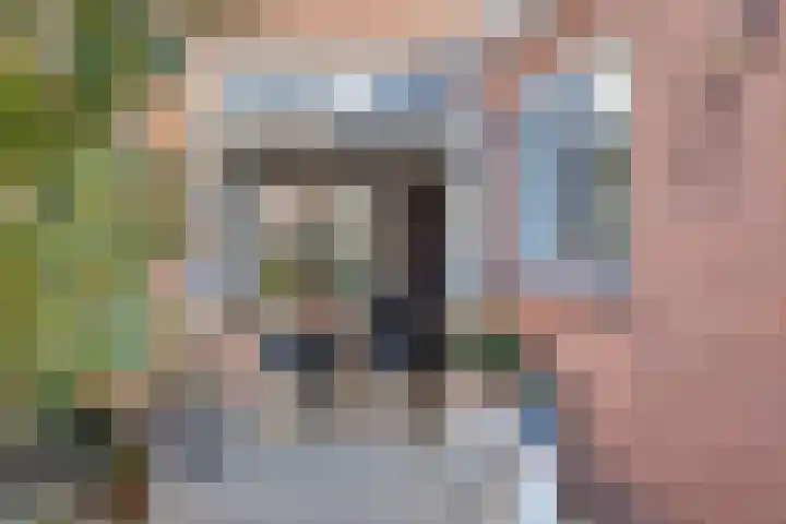 Dr. Schaepmanstraat 6 Goor thumbnail 27