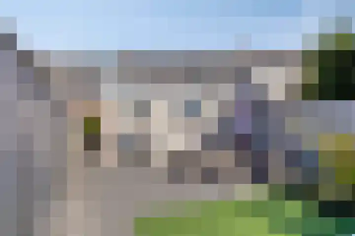 Dr. Schaepmanstraat 6 Goor thumbnail 31