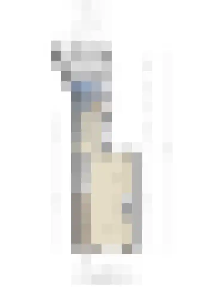 Dr. Schaepmanstraat 6 Goor thumbnail 36