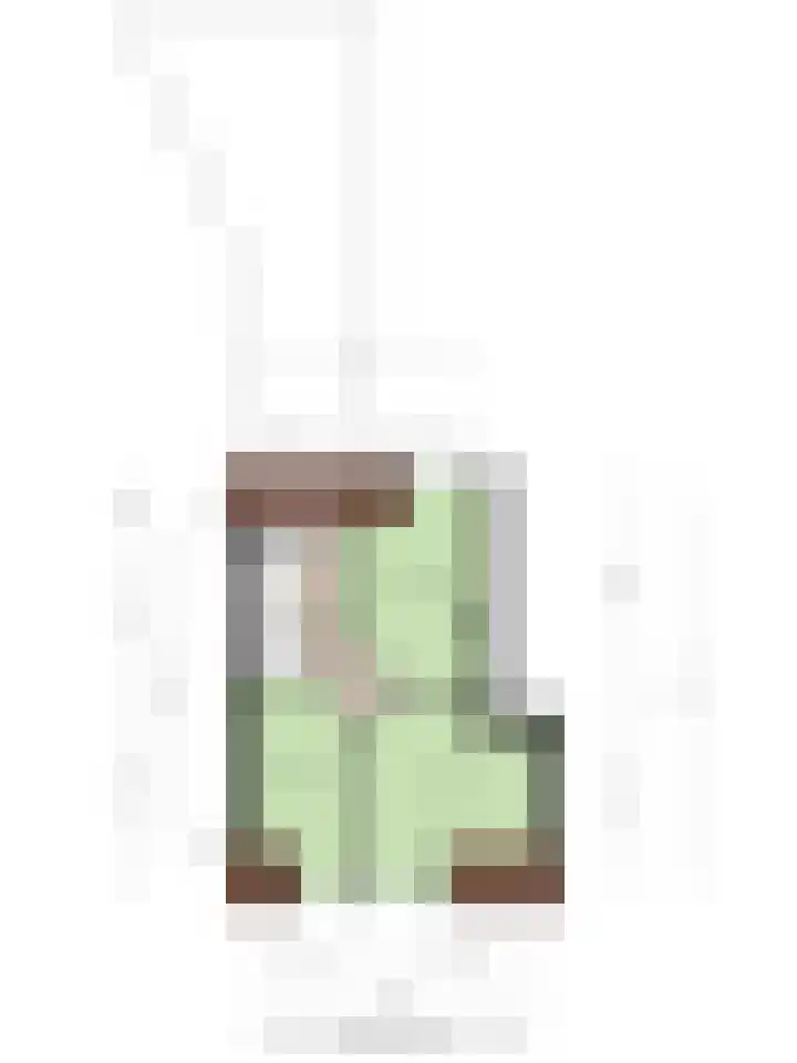 Dr. Schaepmanstraat 6 Goor thumbnail 37