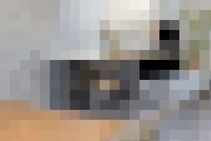 Dr. Schaepmanstraat 6 Goor thumbnail 8