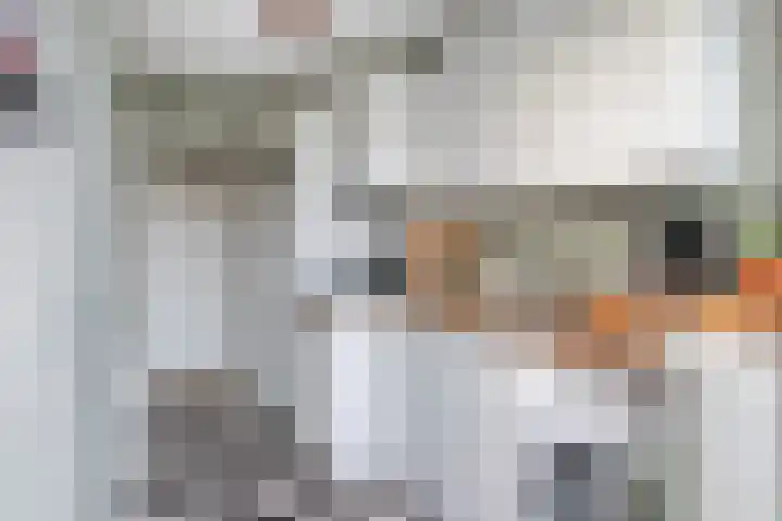 Dr. Schaepmanstraat 66 Ridderkerk thumbnail 10