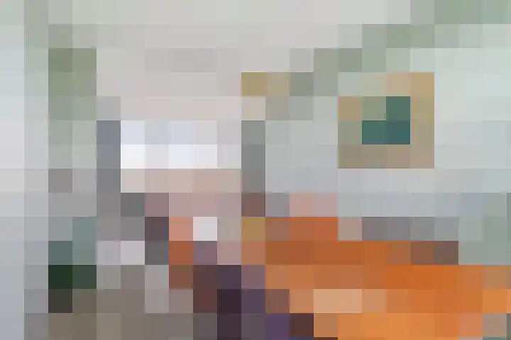 Dr. Schaepmanstraat 66 Ridderkerk thumbnail 4