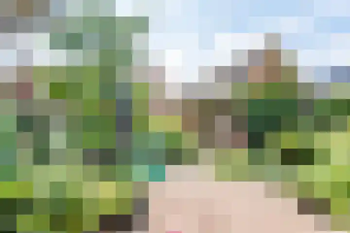 Dr Schaepmanstraat 7 Ulft thumbnail 32