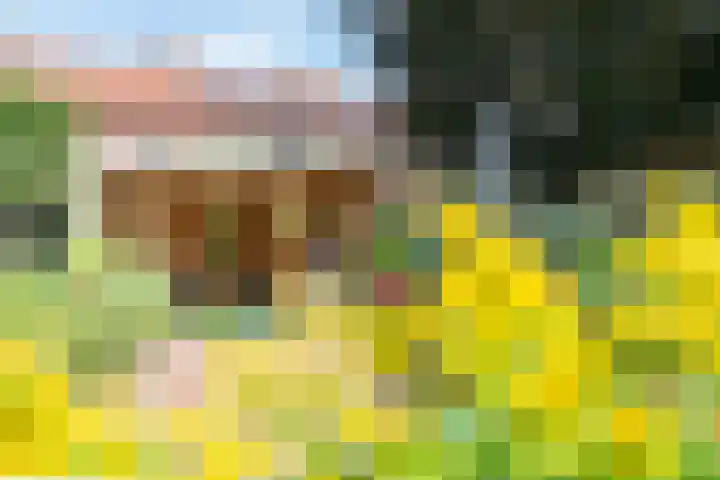 Dr Schaepmanstraat 7 Ulft thumbnail 34