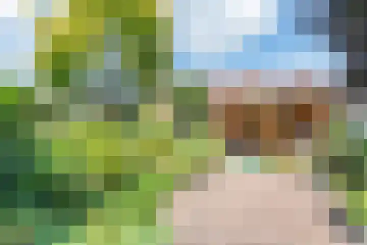 Dr Schaepmanstraat 7 Ulft thumbnail 35