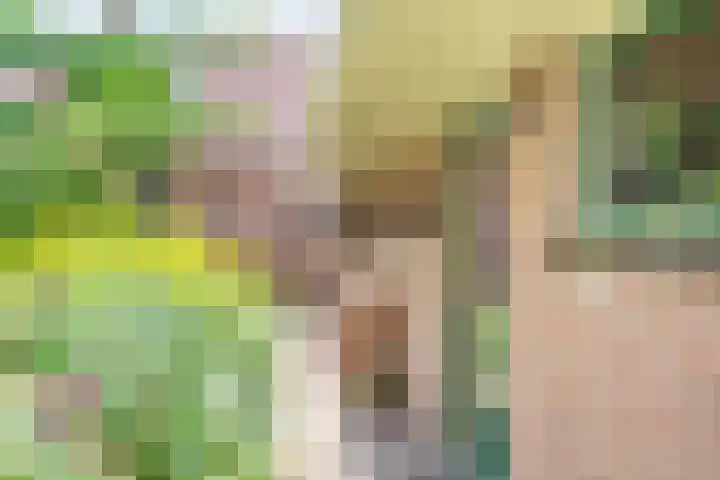 Dr Schaepmanstraat 7 Ulft thumbnail 37