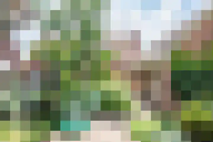 Dr Schaepmanstraat 7 Ulft thumbnail 4