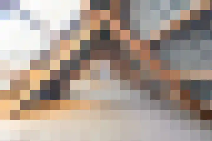 Dr Schaepmanstraat 7 Ulft thumbnail 40