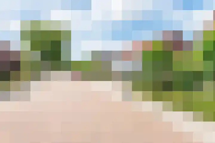 Dr Schaepmanstraat 7 Ulft thumbnail 42