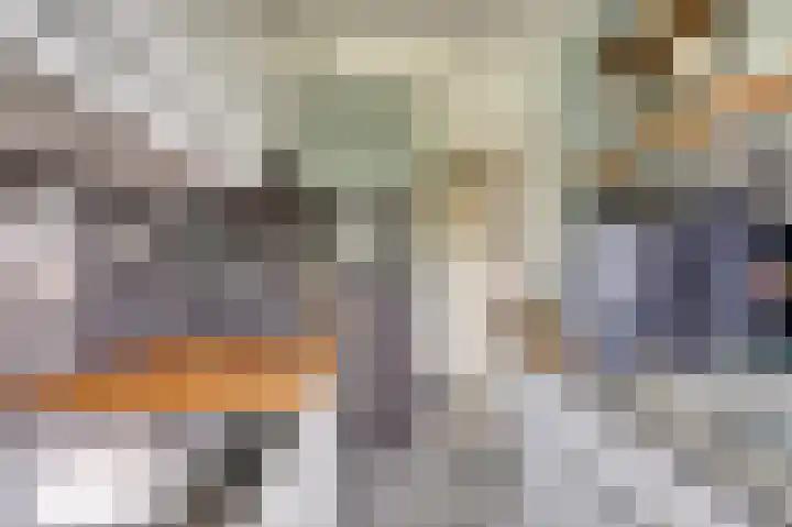Dr. Schaepmanstraat 70 Ridderkerk thumbnail 15