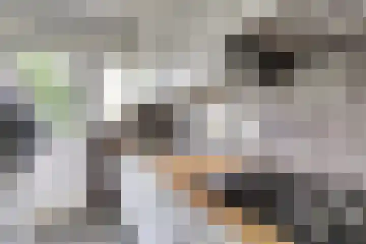 Dr. Schaepmanstraat 70 Ridderkerk thumbnail 18