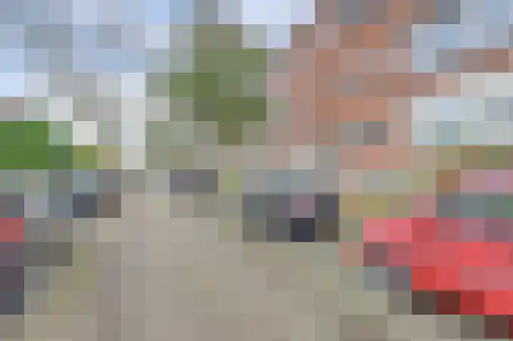 Dr. Schaepmanstraat 70 Ridderkerk thumbnail 5