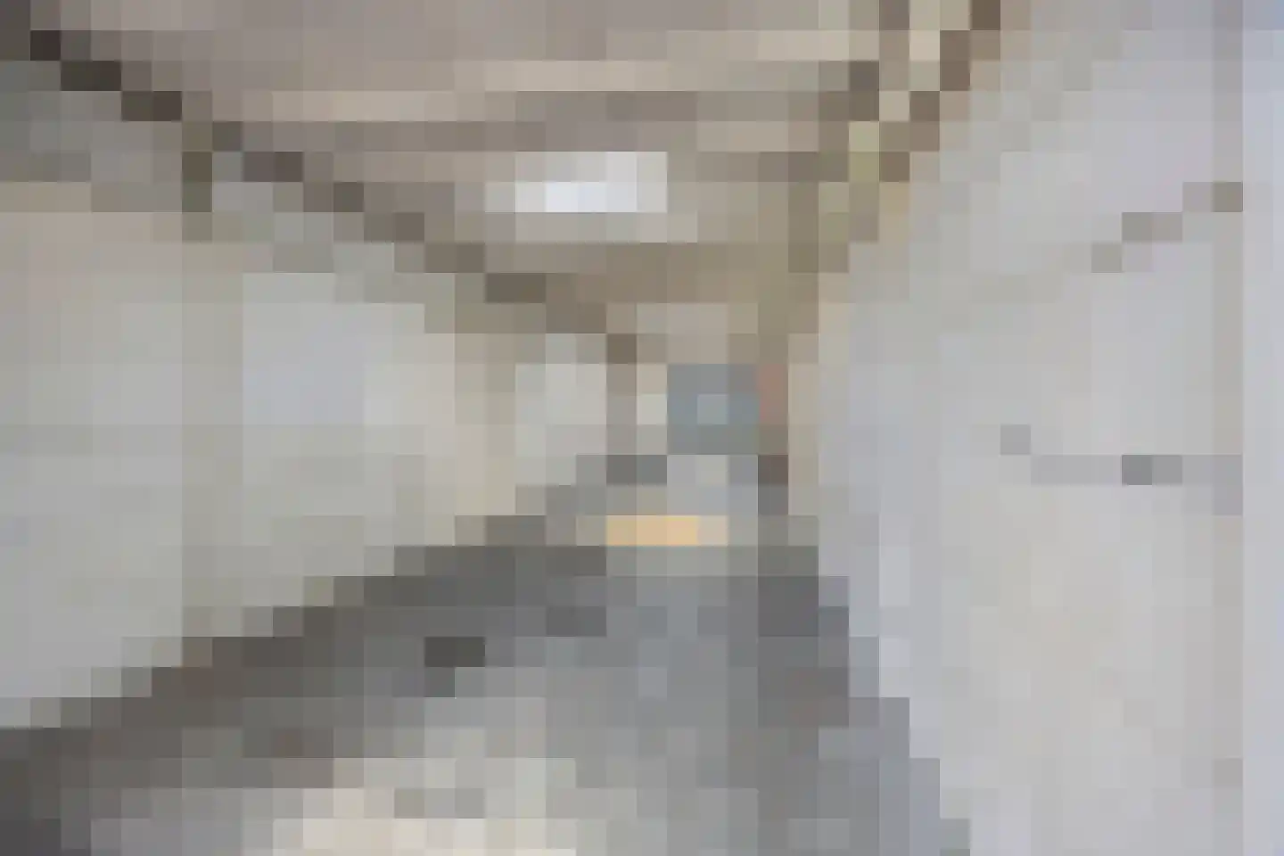 Dr. Schaepmanstraat 73 Haarlem thumbnail 10