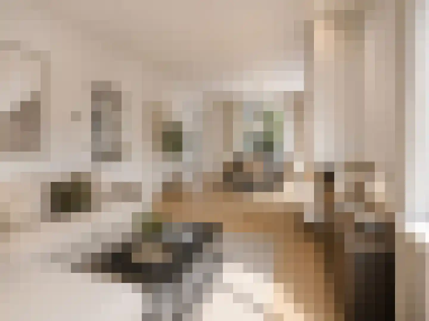 Dr. Schaepmanstraat 73 Haarlem thumbnail 18