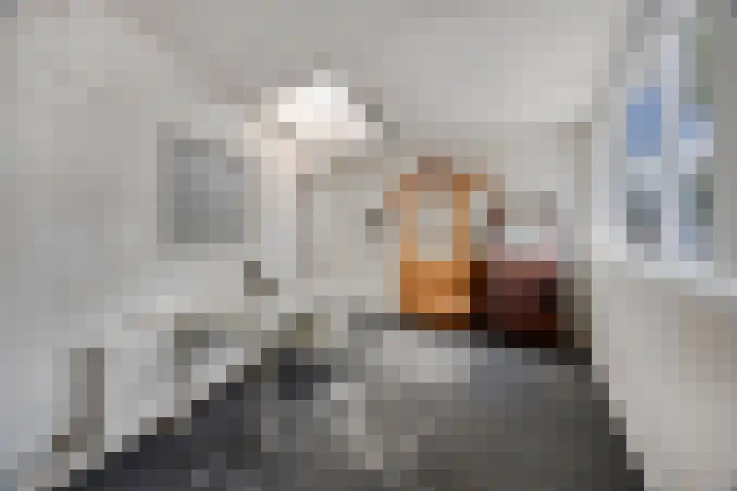 Dr. Schaepmanstraat 73 Haarlem thumbnail 21