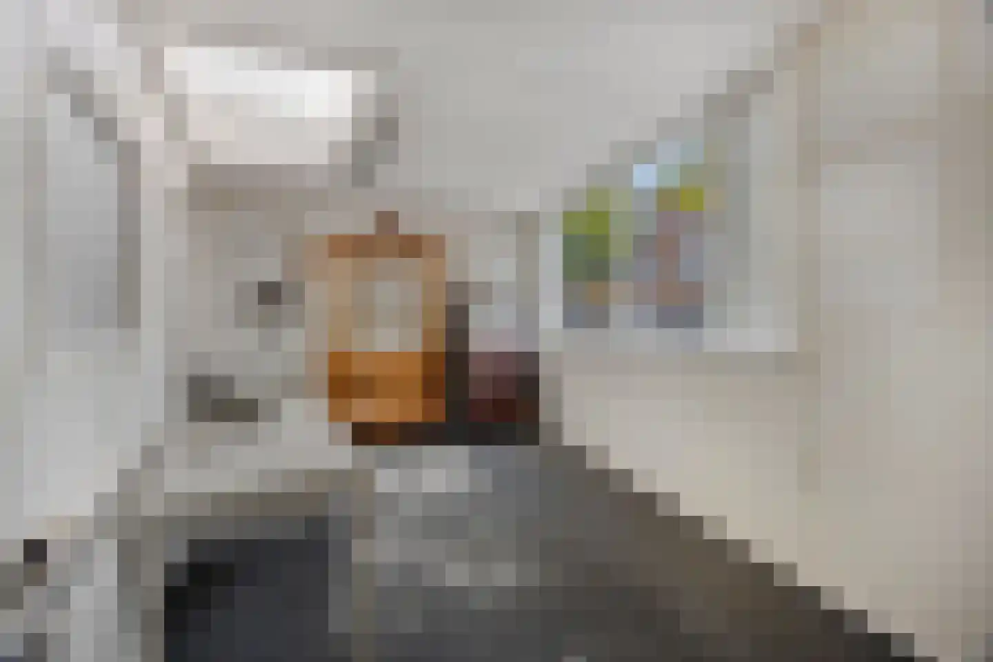Dr. Schaepmanstraat 73 Haarlem thumbnail 23