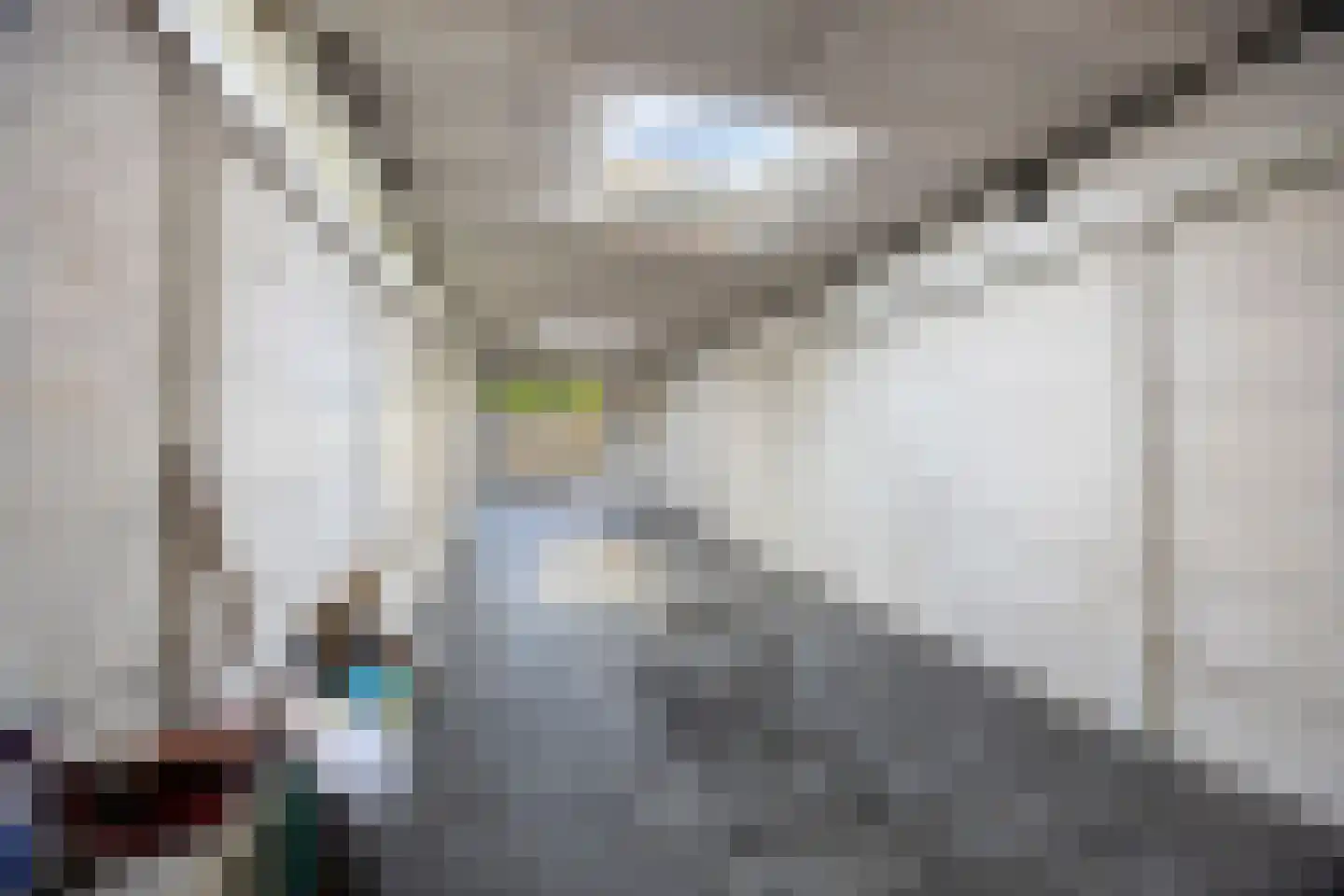 Dr. Schaepmanstraat 73 Haarlem thumbnail 34