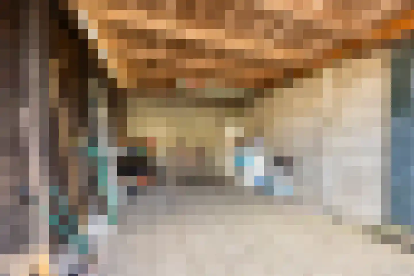 Dr. Schaepmanstraat 73 Haarlem thumbnail 35