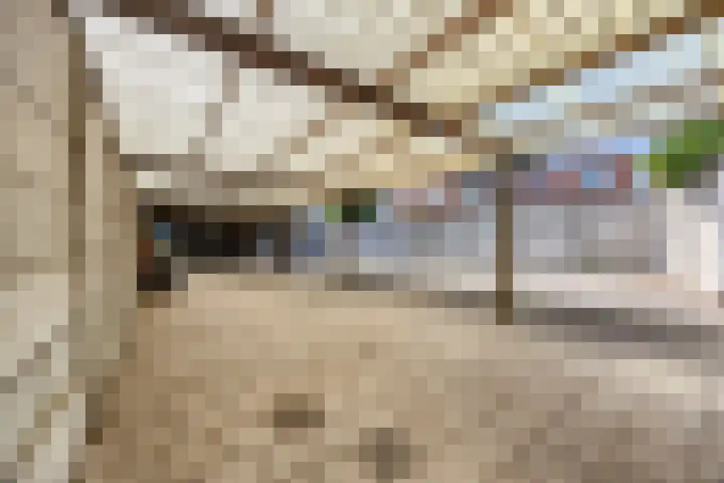 Dr. Schaepmanstraat 73 Haarlem thumbnail 38