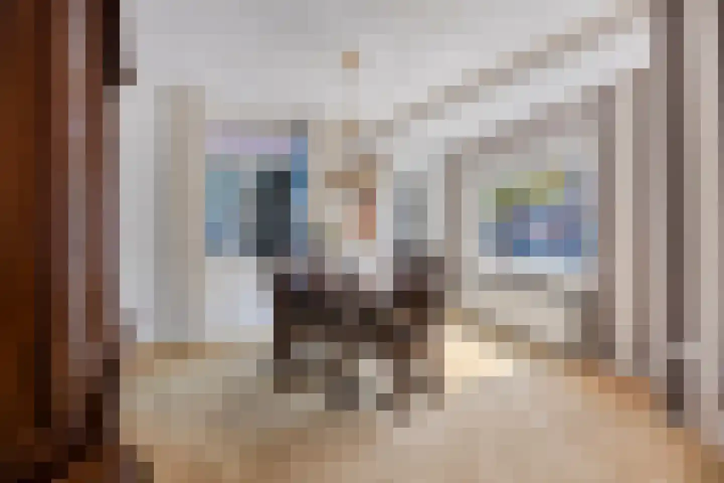Dr. Schaepmanstraat 73 Haarlem thumbnail 4