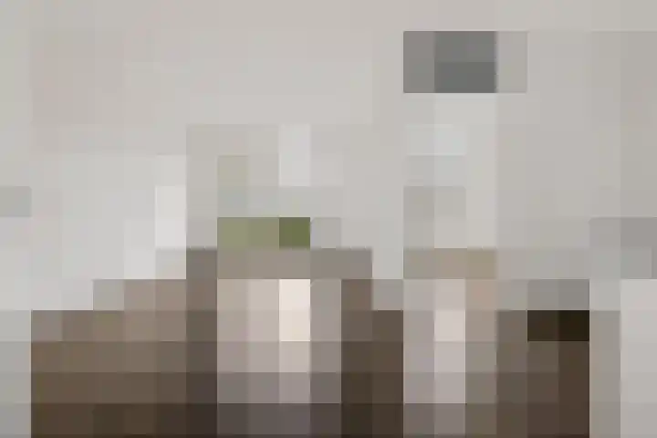 Dr. Schaepmanstraat 77 Assen thumbnail 13