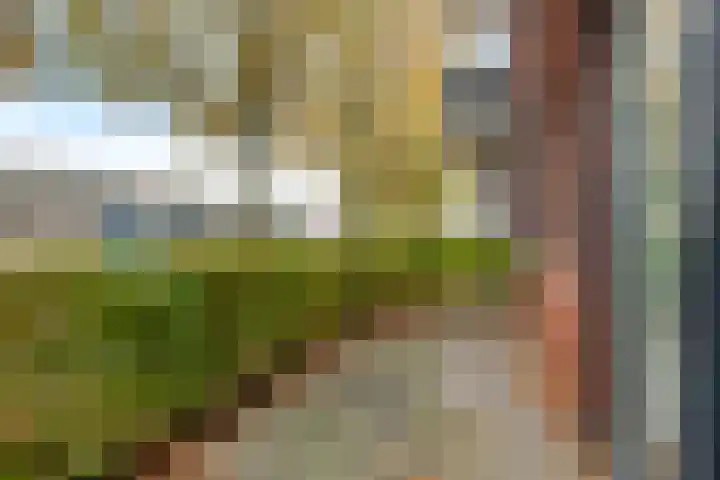 Dr. Schaepmanstraat 77 Assen thumbnail 16