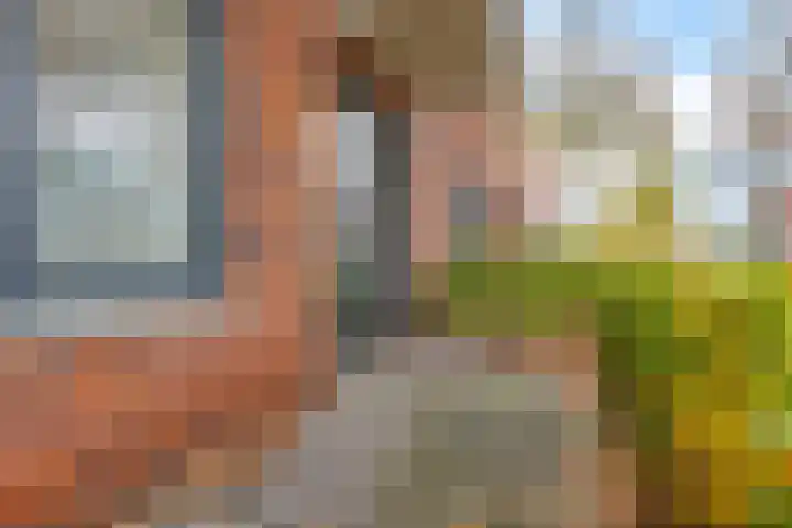 Dr. Schaepmanstraat 77 Assen thumbnail 17