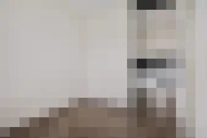 Dr. Schaepmanstraat 77 Assen thumbnail 28