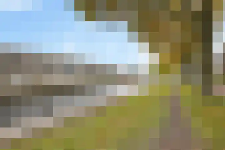Dr. Schaepmanstraat 77 Assen thumbnail 36
