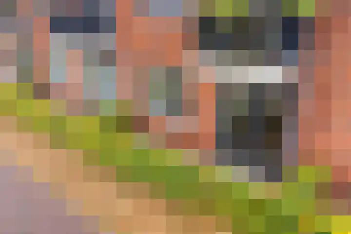 Dr. Schaepmanstraat 77 Assen thumbnail 4