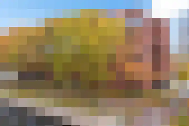 Dr. Schaepmanstraat 77 Assen thumbnail 5