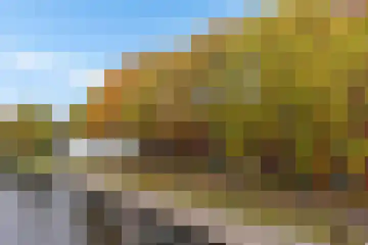 Dr. Schaepmanstraat 77 Assen thumbnail 6