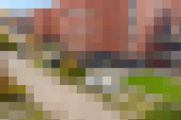 Dr. Schaepmanstraat 77 Assen thumbnail 7