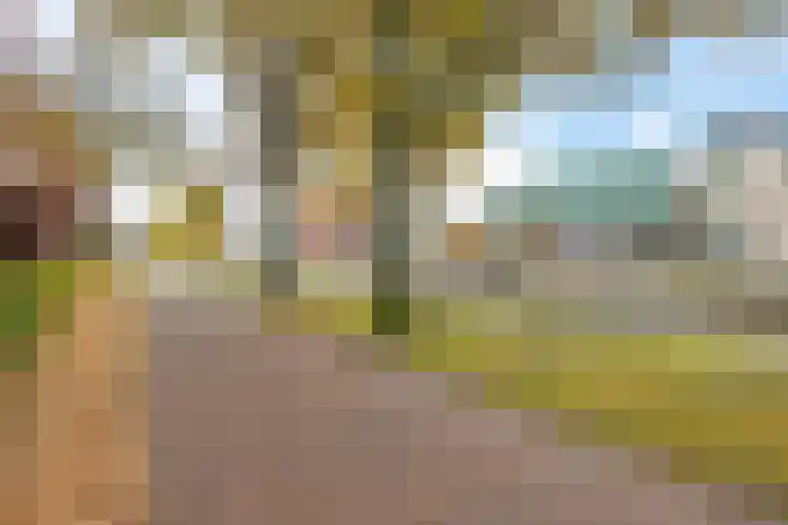 Dr. Schaepmanstraat 77 Assen thumbnail 9