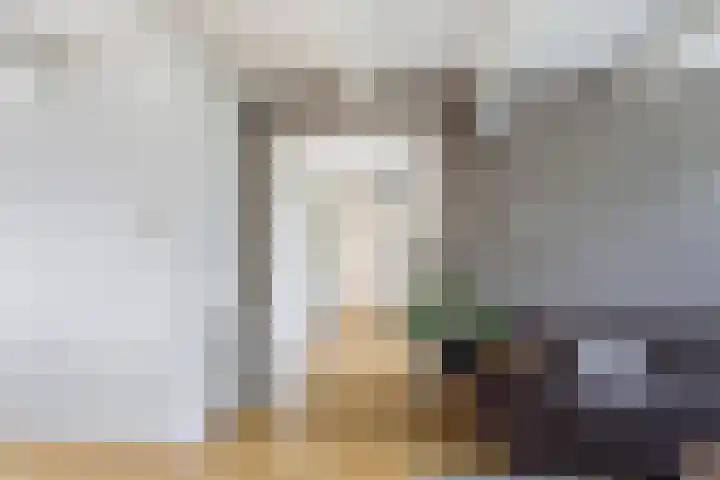 dr. Schaepmanstraat 8 D Vlaardingen thumbnail 12