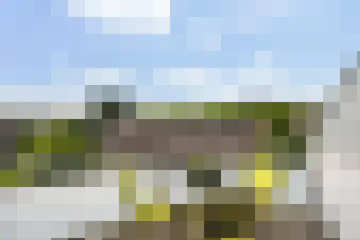 dr. Schaepmanstraat 8 D Vlaardingen thumbnail 18