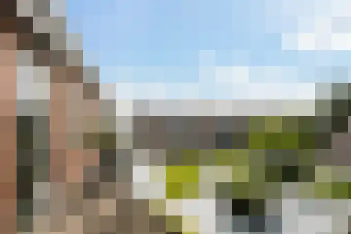 dr. Schaepmanstraat 8 D Vlaardingen thumbnail 19