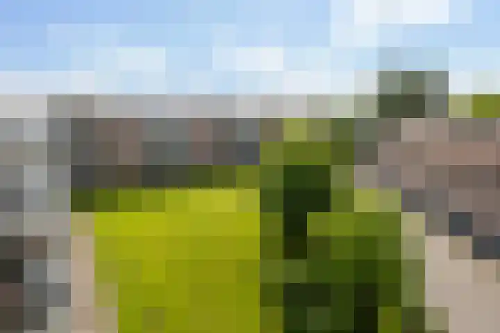 dr. Schaepmanstraat 8 D Vlaardingen thumbnail 21