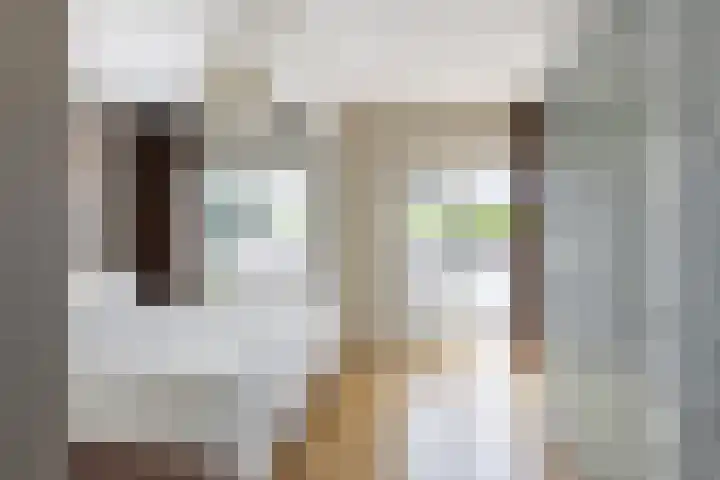 dr. Schaepmanstraat 8 D Vlaardingen thumbnail 22