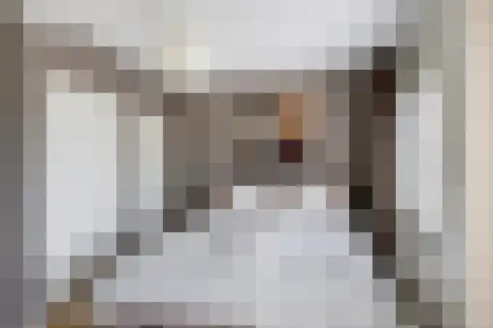 dr. Schaepmanstraat 8 D Vlaardingen thumbnail 23