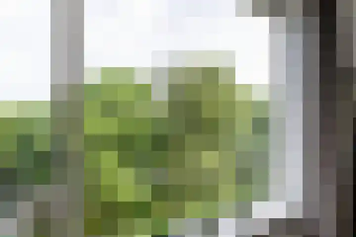 dr. Schaepmanstraat 8 D Vlaardingen thumbnail 27